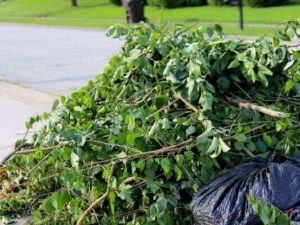 tree and bush clippings in pile in santee ca